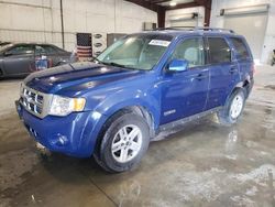 Salvage cars for sale from Copart Avon, MN: 2008 Ford Escape HEV