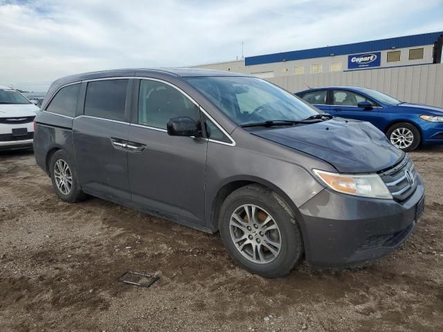 2013 Honda Odyssey EXL