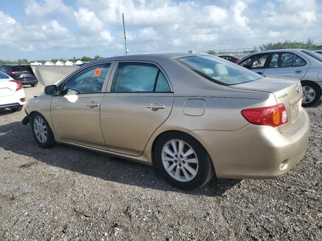 2010 Toyota Corolla Base