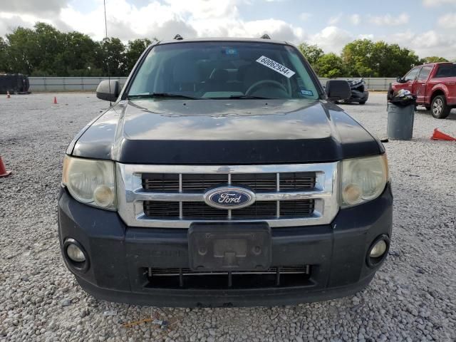 2011 Ford Escape XLT