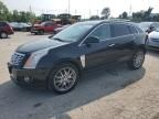 2014 Cadillac SRX Performance Collection