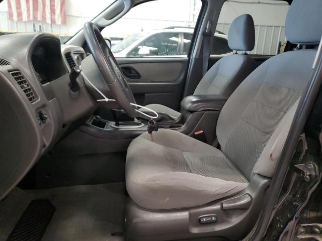 2005 Ford Escape XLT