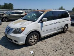 Honda salvage cars for sale: 2008 Honda Odyssey EXL