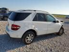 2006 Mercedes-Benz ML 350