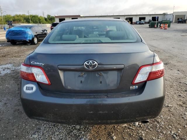 2009 Toyota Camry Hybrid