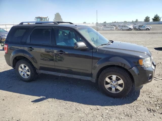 2011 Ford Escape Limited