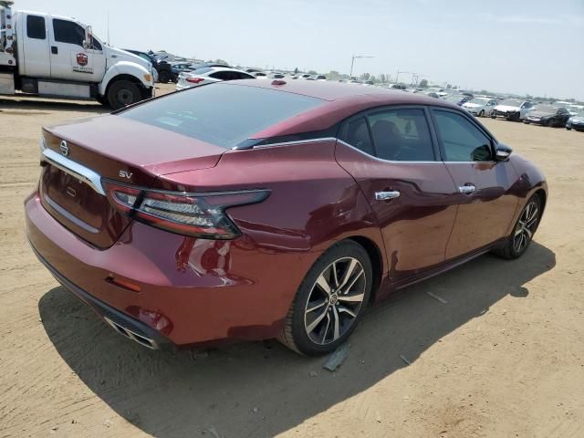 2021 Nissan Maxima SV