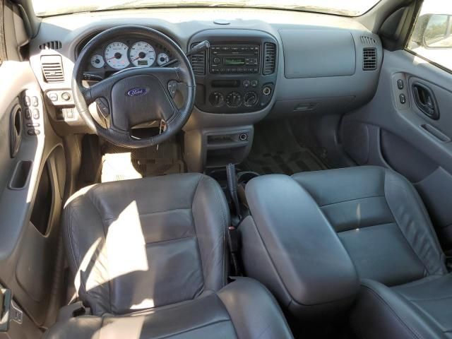 2002 Ford Escape XLT