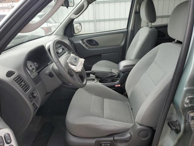 2005 Ford Escape XLT