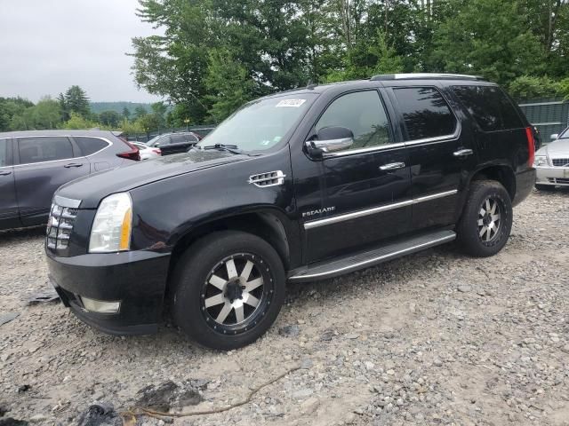 2011 Cadillac Escalade Luxury