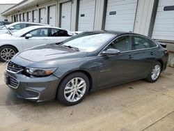 2016 Chevrolet Malibu Hybrid en venta en Louisville, KY