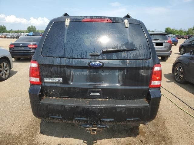 2011 Ford Escape XLT