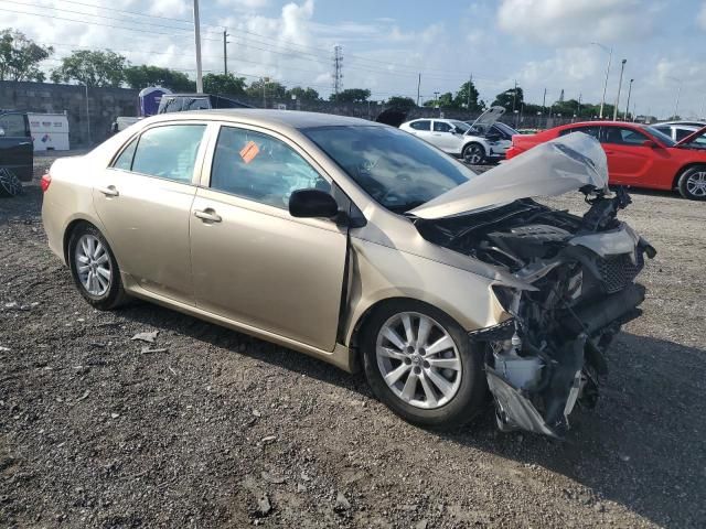 2010 Toyota Corolla Base