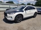 2020 Infiniti QX50 Pure