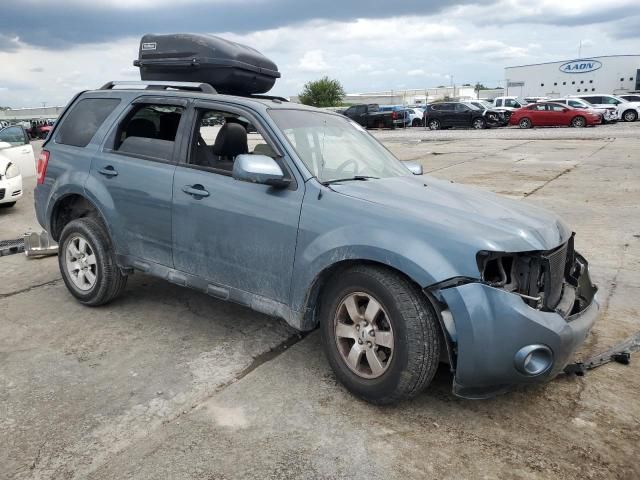 2010 Ford Escape Limited