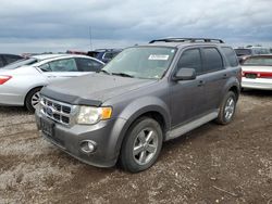 Ford salvage cars for sale: 2010 Ford Escape XLT