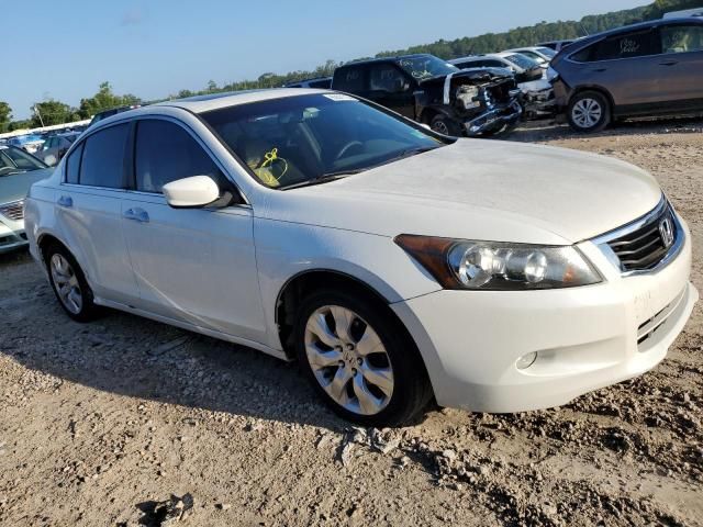 2008 Honda Accord EXL