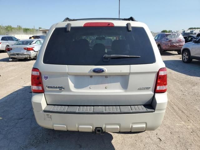 2008 Ford Escape XLT