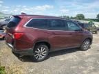 2019 Honda Pilot EXL