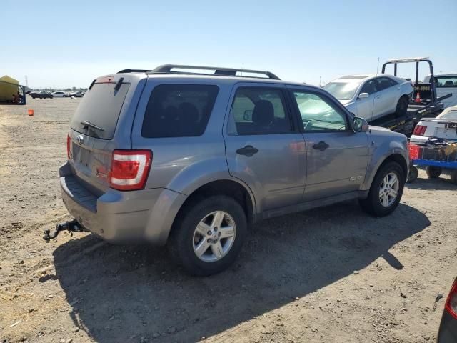 2008 Ford Escape HEV