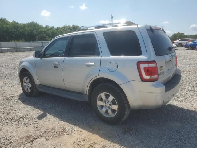 2010 Ford Escape Limited