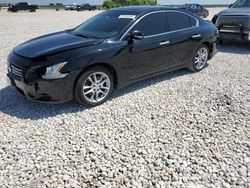 2012 Nissan Maxima S en venta en Taylor, TX