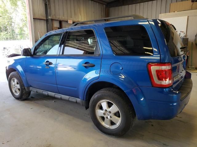 2012 Ford Escape XLT