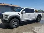 2017 Ford F150 Raptor