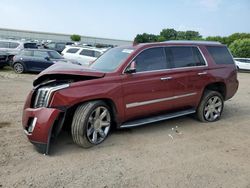 Salvage cars for sale at Davison, MI auction: 2019 Cadillac Escalade Luxury