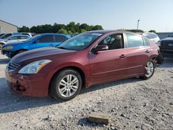 Nissan Vehiculos salvage en venta: 2010 Nissan Altima Base