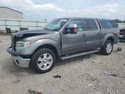 Ford f-150 Vehiculos salvage en venta: 2013 Ford F150 Supercrew