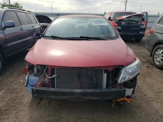 2009 Toyota Corolla Base