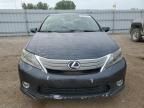 2010 Lexus HS 250H