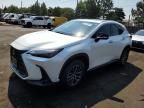 2023 Lexus NX 350H