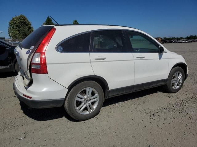 2010 Honda CR-V EXL