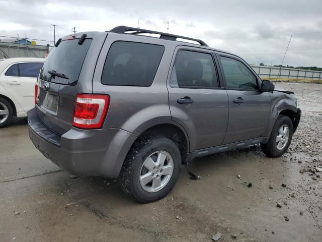 2009 Ford Escape XLT