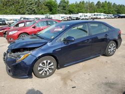 Salvage cars for sale at Eldridge, IA auction: 2020 Toyota Corolla LE