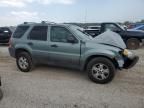 2005 Ford Escape XLT