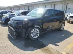 Salvage cars for sale at Louisville, KY auction: 2023 KIA Soul LX