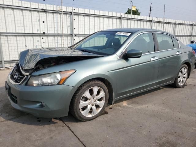 2010 Honda Accord EXL