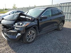 Ford Vehiculos salvage en venta: 2021 Ford Escape SEL