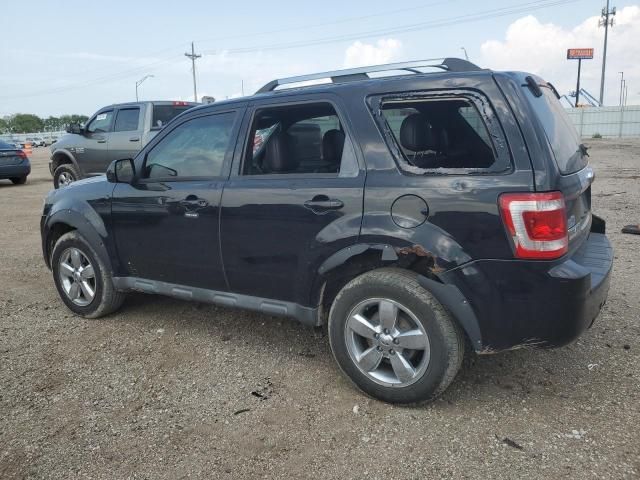 2010 Ford Escape Limited