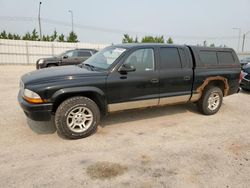 2003 Dodge Dakota Quad Sport en venta en Nisku, AB