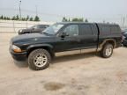 2003 Dodge Dakota Quad Sport