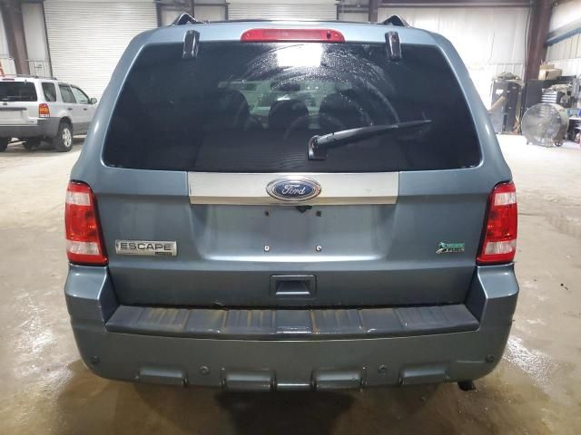 2010 Ford Escape Limited