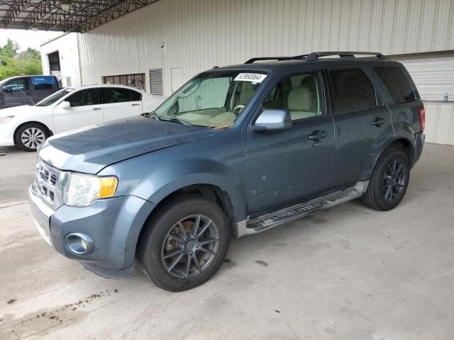 2011 Ford Escape Limited