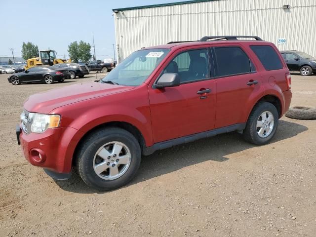 2011 Ford Escape XLT