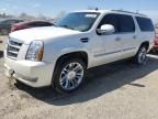 2014 Cadillac Escalade ESV Platinum