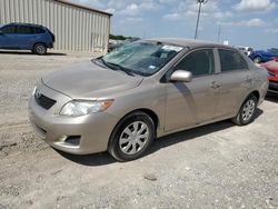 Salvage cars for sale from Copart Temple, TX: 2009 Toyota Corolla Base