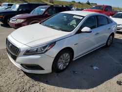 Salvage cars for sale at Littleton, CO auction: 2016 Hyundai Sonata Hybrid